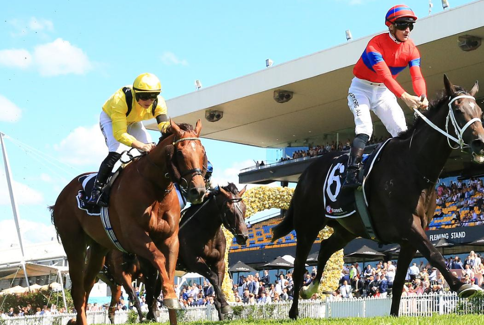 Sydney horse racing tips