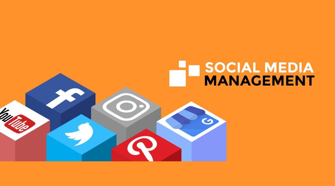 social media management in Sydney